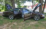 1996 Impala Thumbnail 4