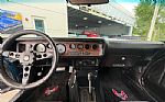 1979 Firebird Thumbnail 30