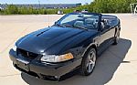 1999 Mustang SVT Cobra Thumbnail 2