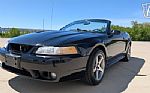 1999 Mustang SVT Cobra Thumbnail 3