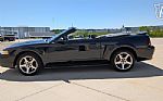 1999 Mustang SVT Cobra Thumbnail 6