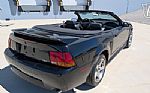 1999 Mustang SVT Cobra Thumbnail 14