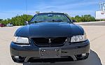1999 Mustang SVT Cobra Thumbnail 24