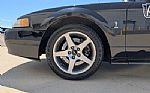 1999 Mustang SVT Cobra Thumbnail 28