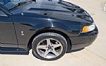 1999 Mustang SVT Cobra Thumbnail 41