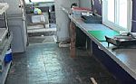 1999 Cascadia Thumbnail 12