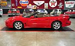 2002 Trans Am WS6 Convertible Thumbnail 3