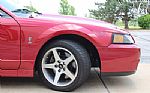 2003 Mustang SVT Cobra Thumbnail 53