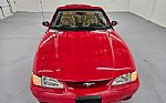 1994 Mustang Cobra Thumbnail 28