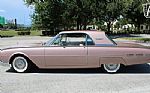 1962 Thunderbird Thumbnail 19