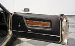 1971 Mustang Super Cobra Jet Drag P Thumbnail 55