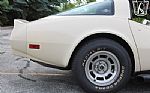 1981 Corvette Thumbnail 73