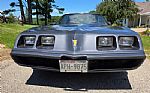 1980 Firebird Trans Am Thumbnail 2