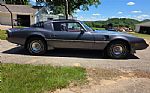1980 Firebird Trans Am Thumbnail 4