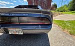 1980 Firebird Trans Am Thumbnail 48