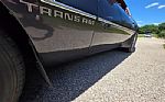 1980 Firebird Trans Am Thumbnail 68