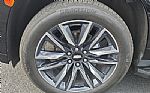 2023 Escalade Thumbnail 6