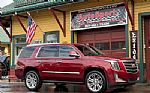 2018 Escalade Thumbnail 1