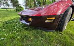1981 Corvette Thumbnail 17