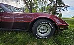 1981 Corvette Thumbnail 22