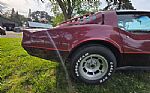 1981 Corvette Thumbnail 32