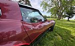 1981 Corvette Thumbnail 37