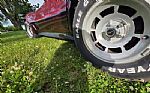 1981 Corvette Thumbnail 50