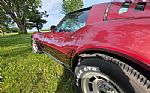 1981 Corvette Thumbnail 52