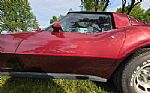 1981 Corvette Thumbnail 55