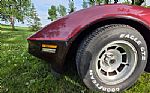 1981 Corvette Thumbnail 64