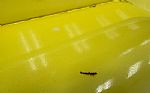 1949 Jeepster VJ3 463 Convertible Thumbnail 55