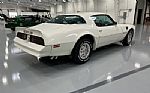 1977 Trans Am Thumbnail 6