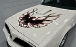 1977 Trans Am Thumbnail 13