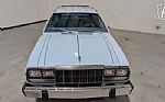 1979 Concord Thumbnail 22