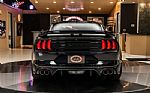2022 Mustang Saleen Thumbnail 14
