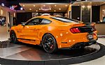 2020 Mustang Shelby Super Snake Thumbnail 16