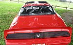 1979 Trans Am Thumbnail 4
