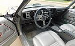 1979 Firebird Trans Am Thumbnail 14