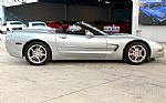 1998 Corvette Thumbnail 6