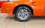 1976 Trans Am Thumbnail 6