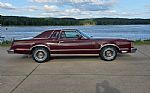 1979 Thunderbird Thumbnail 18