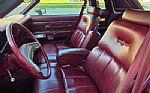 1979 Thunderbird Thumbnail 33