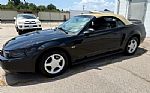 2000 Mustang GT Thumbnail 1