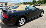 2000 Mustang GT Thumbnail 3