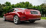 2008 Mustang 302 Heritage Thumbnail 12