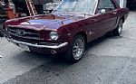 1964 Mustang Thumbnail 1
