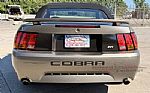 2001 Mustang SVT Cobra Thumbnail 10
