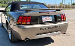 2001 Mustang SVT Cobra Thumbnail 50