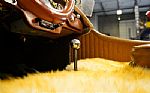 1929 SSK Gazelle Replica Thumbnail 49