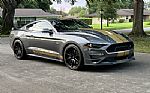 2022 Shelby Mustang Thumbnail 1